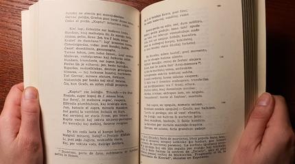 Kas ir kodėl vertė Adomo Mickevičiaus kūrinius į esperanto kalbą