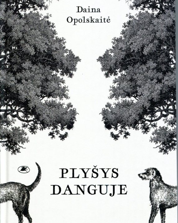 Plyšys danguje