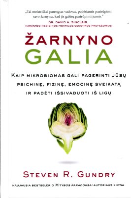Vaikų žaidimas