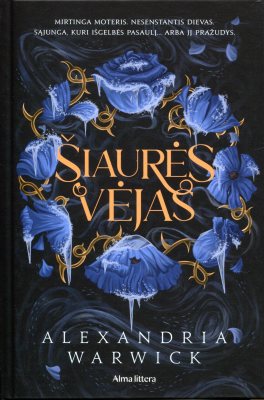 Šiaurės vėjas