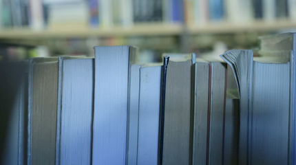 Rugpjūčio mėnesio bibliotekos knygų TOP 20