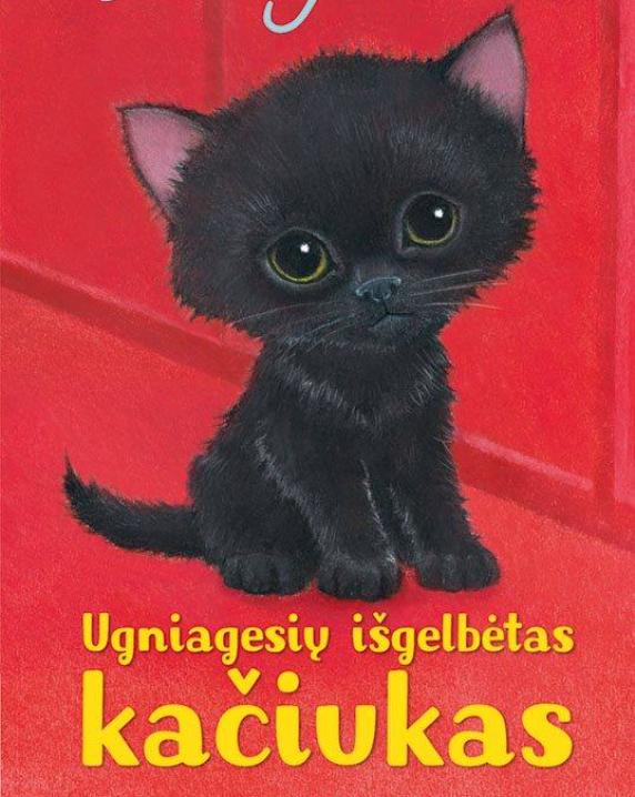 Ugniagesių išgelbėtas kačiukas