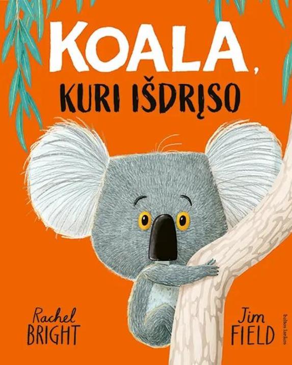 Koala, kuri išdrįso