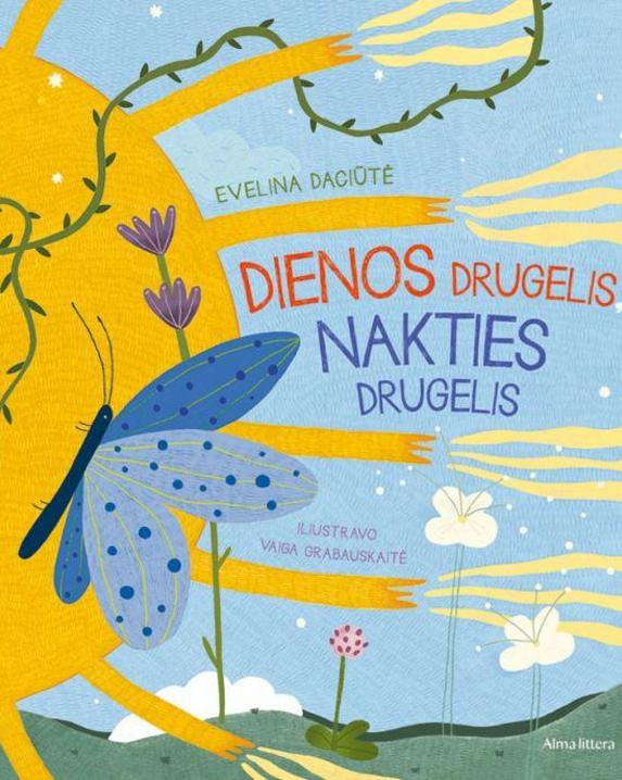 Dienos drugelis, nakties drugelis